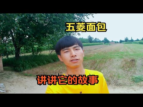 西藏自驾游两个月，吃住水电都是在车里完成的，这一期的主角留给它