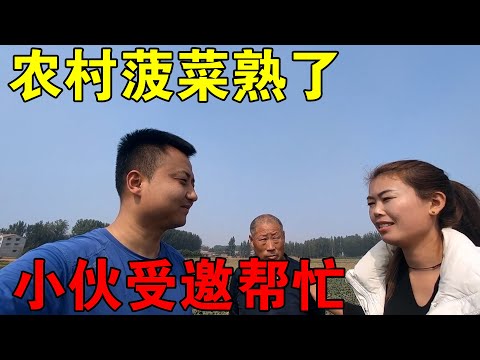 河南农村菠菜成熟了，受农户一家人邀请，小伙帮忙销售菠菜【穷游的似水年华】