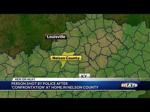 Person shot by police after 'confrontation' at home in Nelson County