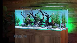 Serene 65 Freshwater Aquarium System with A.S. Designs Aquascape