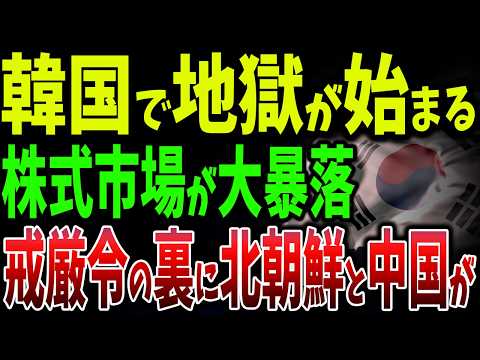 第二の北朝鮮化？韓国大統領の「独裁宣言」クーデター未遂と株式市場暴落！アメリカが懸念する中国の影響力とは【ゆっくり解説】