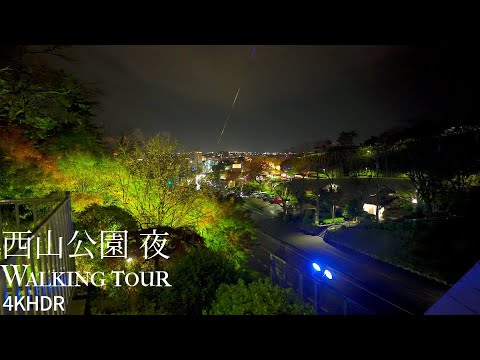 Night and Illumination at Nishiyama Park Stroll Japan 4KHDR　西山公園の夜とイルミネーション 散策 福井県鯖江市