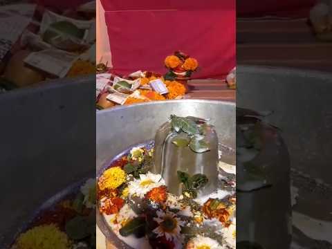 Shiv tandav #Mahashivratri #trending #shortvideoyoutube