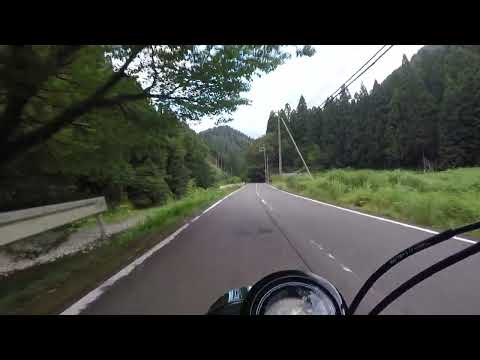 20230806CT125ハンターカブ府道38号大堰川沿い