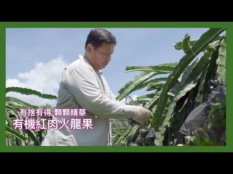 有捨有得 顆顆精華．有機紅肉火龍果 ー【里仁有機蔬果】