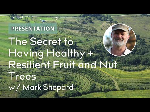 Silvopasture: Setting up Natural Selection for Healthier Fruit and Nut Crops