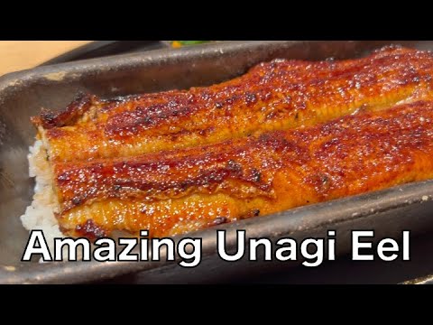 One whole unagi in Nagoya! Best lunch ever.