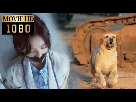 【Movie】Girl was kidnapped and a dog successfully rescued her by sniffing through his nose#照亮你 #愛情電影