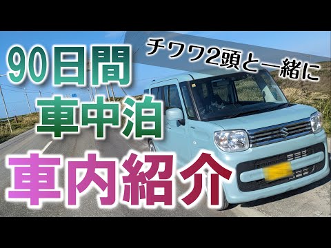 【車中泊 車内紹介】スズキスペーシア。チワワ2頭と90日間に渡り車中泊した車内を紹介します。（軽自動車、軽ハイトワゴン、犬と車中泊、スムチー、スムースチワワ、スムースコートチワワ、MK53S、北海道）