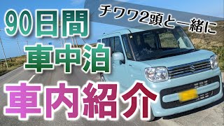 【車中泊 車内紹介】スズキスペーシア。チワワ2頭と90日間に渡り車中泊した車内を紹介します。（軽自動車、軽ハイトワゴン、犬と車中泊、スムチー、スムースチワワ、スムースコートチワワ、MK53S、北海道）