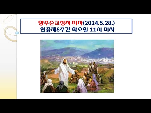 양주순교성지 미사(연중제8주간 화요일 11시 미사 2024.5.28.)