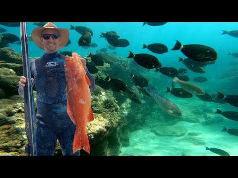 Spearfishing Remote Coral Reefs