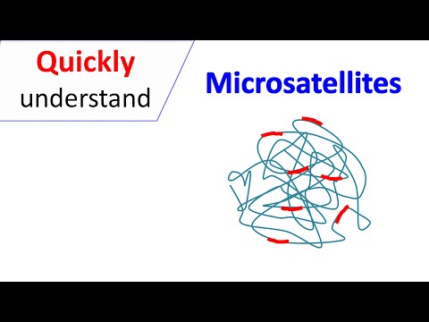 Microsatellites