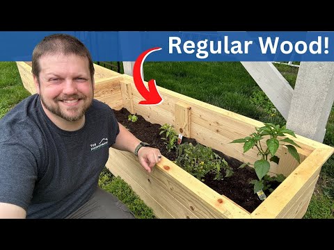 How to Build DIY Raised Garden Beds on a Budget: Step-by-Step Instructions