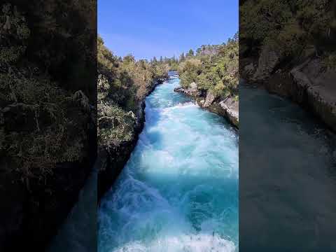 HUKA FALLS, TAUPO, NEW ZEALAND #nzmustdo #nzmustsee #shorts #shortsfeed #nztravel #nzfalls #travel