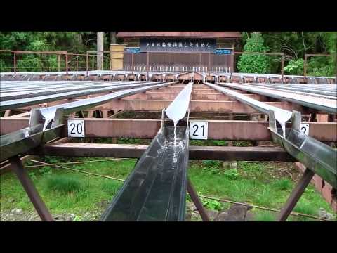 戸倉峠　滝流しそうめん　解禁日。