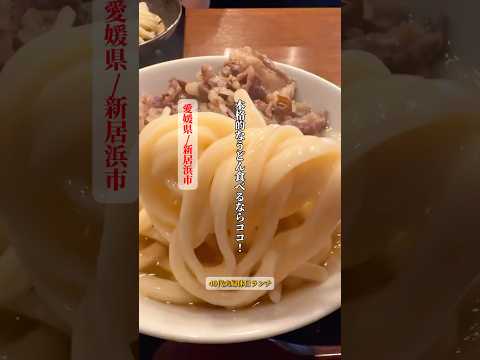 【40代夫婦休日ランチ】ワンランク上の讃岐うどんを食べに！【日美うどん】