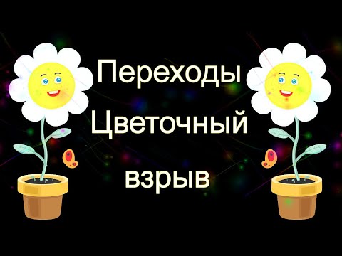 ✿°✿ Переходы Цветочный взрыв Proshow Producer ✿°✿