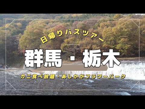 【群馬・栃木】見て、食べて感動！感激！バスツアー！！