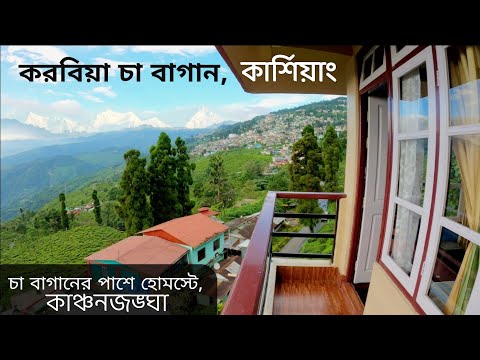 Karbia Tea Garden ~ Kurseong, Darjeeling ↑ Travel Vlog No. 123 with Santanu Ganguly