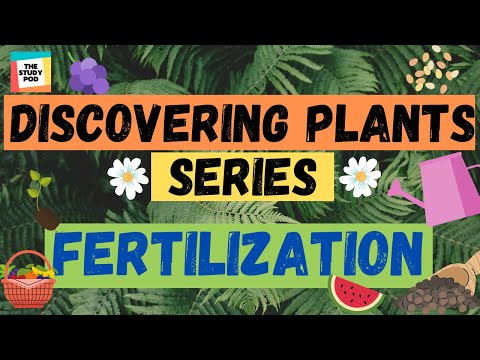 FERTILIZATION | DISCOVERING PLANTS SERIES | Part 4 | Science | The Study Pod