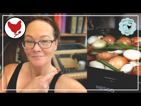 There’s What in my Greenhouse?? | Making Onion Stock | March Canning Madness