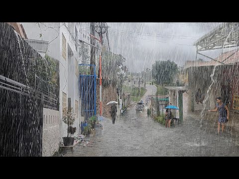 super heavy rain in my comfortable village, immediately fell asleep with the sound of heavy rain