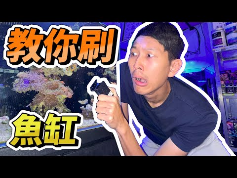 【藍箱水族】讓你變成刷魚缸大師~詳解磁力刷清潔秘笈！終結魚缸污垢！影片中有抽獎小彩蛋喔！ how to clean your tank glass? tank cleaner