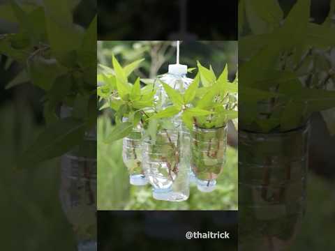 Hanging planter with plastic bottles