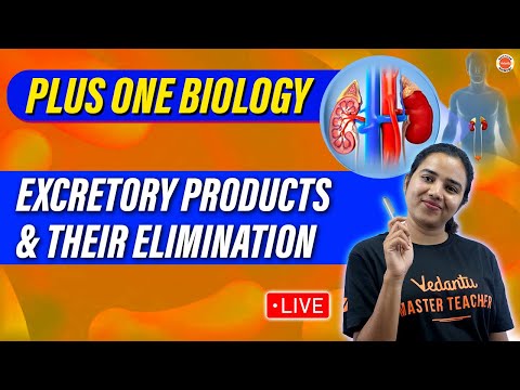 Excretory Products & Their Elimination | Plus One Biology | Aswani Ma'am