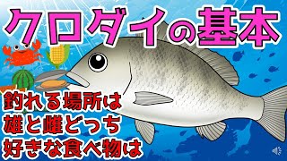 【クロダイ（チヌ）】黒鯛を知っている人知らない人の差は大きい