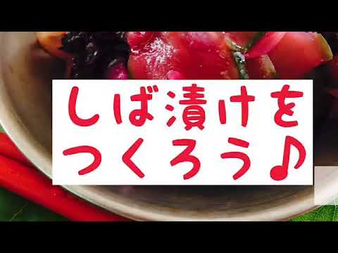 しば漬けを一緒に漬けませんか？～レッスン募集告知用～