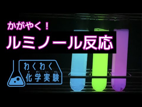 ルミノール反応【わくわく化学実験①】