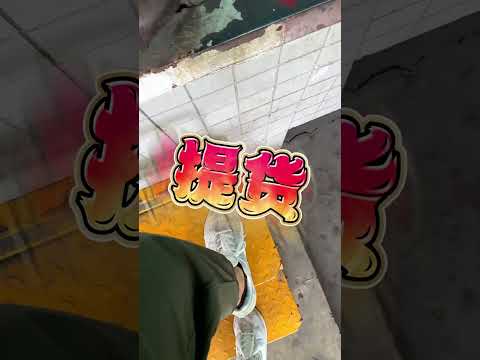 雷龙鱼比赛，带3条鱼去打个酱油~虽然和其他选手实力悬殊，但是万一得奖了呢哈哈，重在参与~