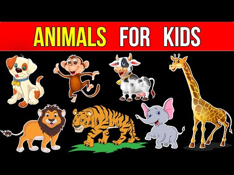 Animals for Kids | Animals Name in English