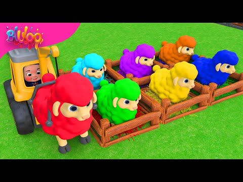 Learn colors with Baa Baa Black Sheep | BluLoo Nursery Rhymes & Kids Songs