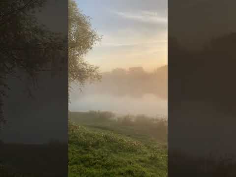 Morning on the bank of the river, fog over the water