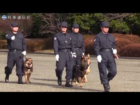 皇宮警察年頭視閲式＝護衛馬・警備犬もパレード