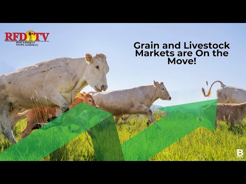 Grain and Livestock Markets are On the Move!