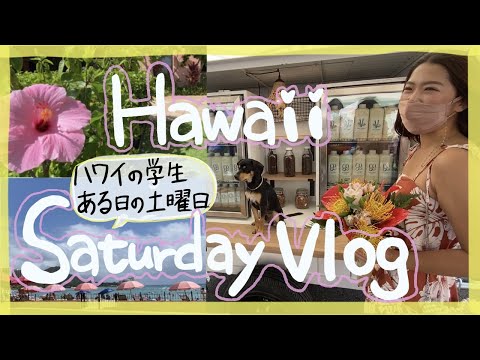 【ハワイ学生】留学生の土曜日はこんな感じ。ゆるーいVlog