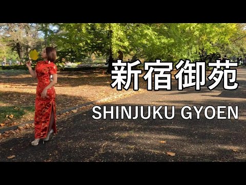 【Street walking】都会の中のオアシス、新宿御苑を散歩 Walking in SHINJUKU GYOEN of Tokyo, oasis in the hustle and bustle