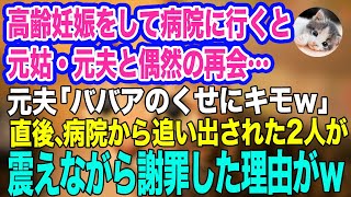 高齢妊娠をし病院に行くと、私をいびっていた元姑・元夫に偶然再会。元夫「ババアのくせにキモｗ」→しかしその直後、突然病院から追い出される2人…。実はｗ【スカッとする話】