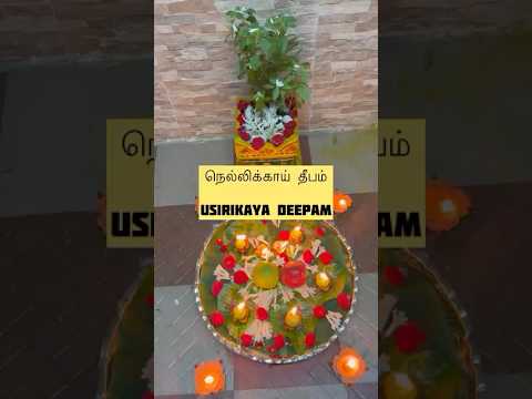 நெல்லிக்காய் தீபம் /Amla /Usirikaya Deepam # Bliss#spritual peace #sacred #radiance #viralvideo