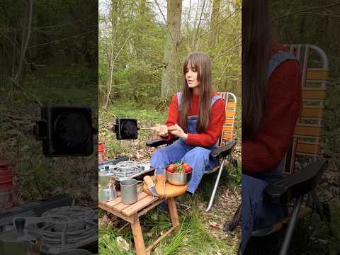 FRENCH TOAST in my COZY SOLO CAMP | lunch break on my 20 hour drive to Ireland #outdoorcooking