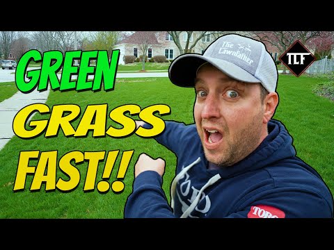 How To EASILY Wake Up Your Dormant Grass FAST!