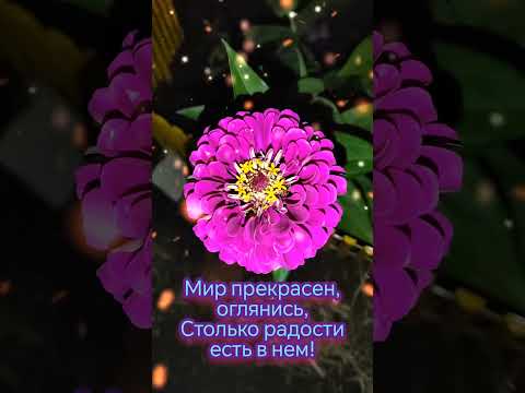 Доброе утро красивая открытка с чудесной песней #цветы #доброеутро #открытка #доброеутрооткрытка