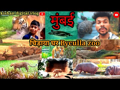 मुंबई zoo Byculla। virmata jija Bai pranisangrlay udyan ।। Rani Bagh। Byculla zoo mumbai