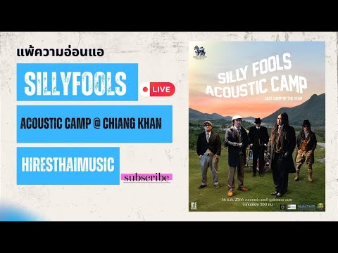 Silly Fools - แพ้ความอ่อนแอ Acoustic Camp Live @ Chiang Khan 2023