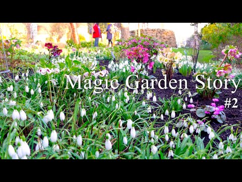 An Artist Walled Garden tour & story, UK, Early Spring 2022| Gardening in Scotland|Private residence