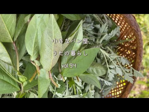 【暮らしvlog94】花畑でよもぎ摘み/山菜アズキナ摘み/よもぎを下茹で/夕ご飯ハンバーグ